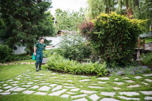 Best Ant Control Services  in Rothsville, PA