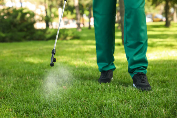 Best Local Pest Control Services  in Rothsville, PA