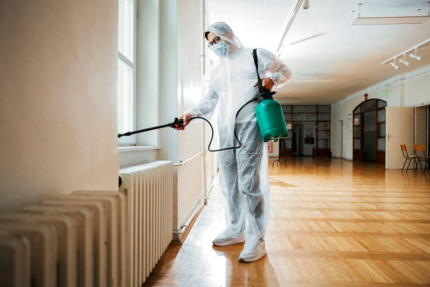 Best Flea Control Services  in Rothsville, PA